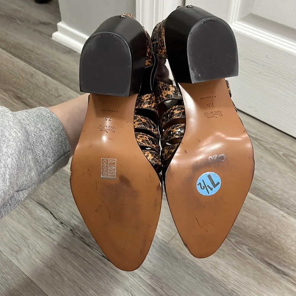 Coach Brown Ankle Boots - Picture 8 of 11